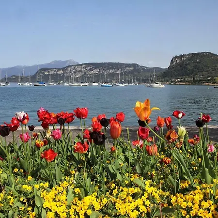 Fiorita Отель 3*